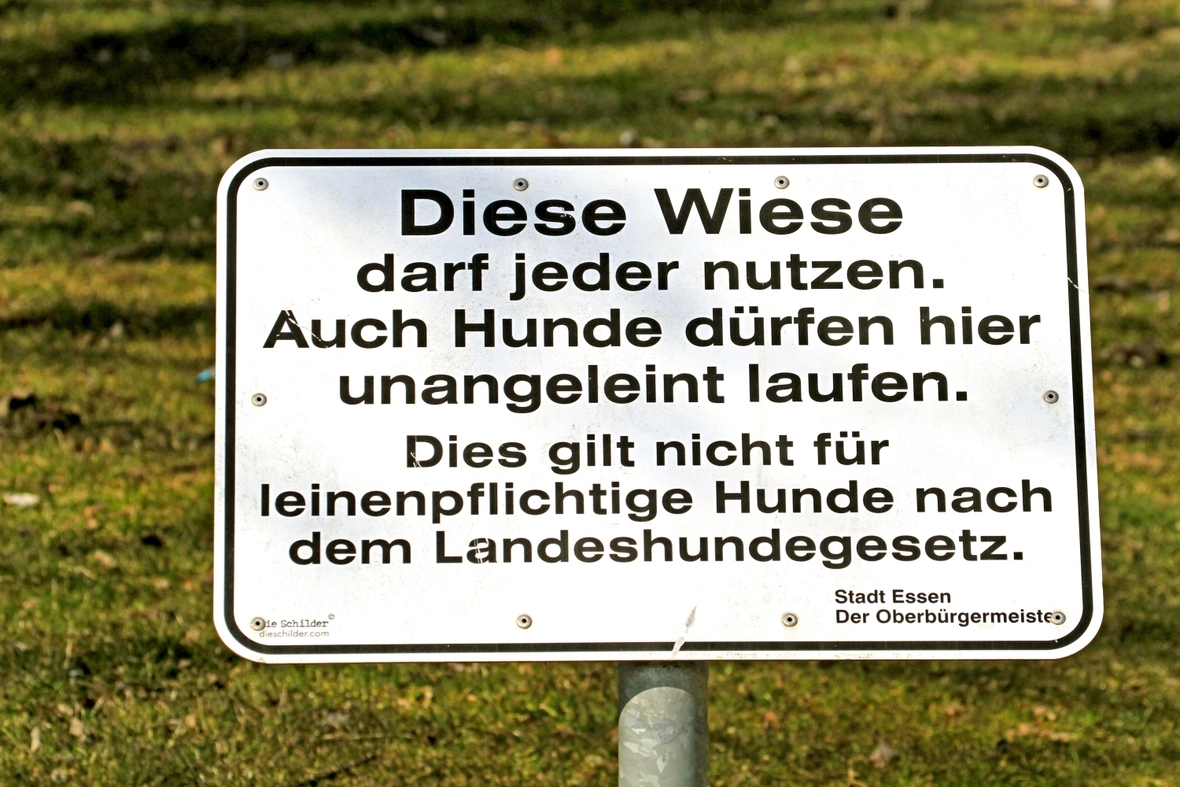 Gesetze gelten für alle Menschen - und manchmal auch für Hunde! Auf dem abgebildeten Schild steht: "Die Wiese darf jeder nutzen. Auch Hunde dürfen hier unangeleint laufen. Dies gilt nicht für leinenpflichtige Hunde nach dem Landeshundegesetz."