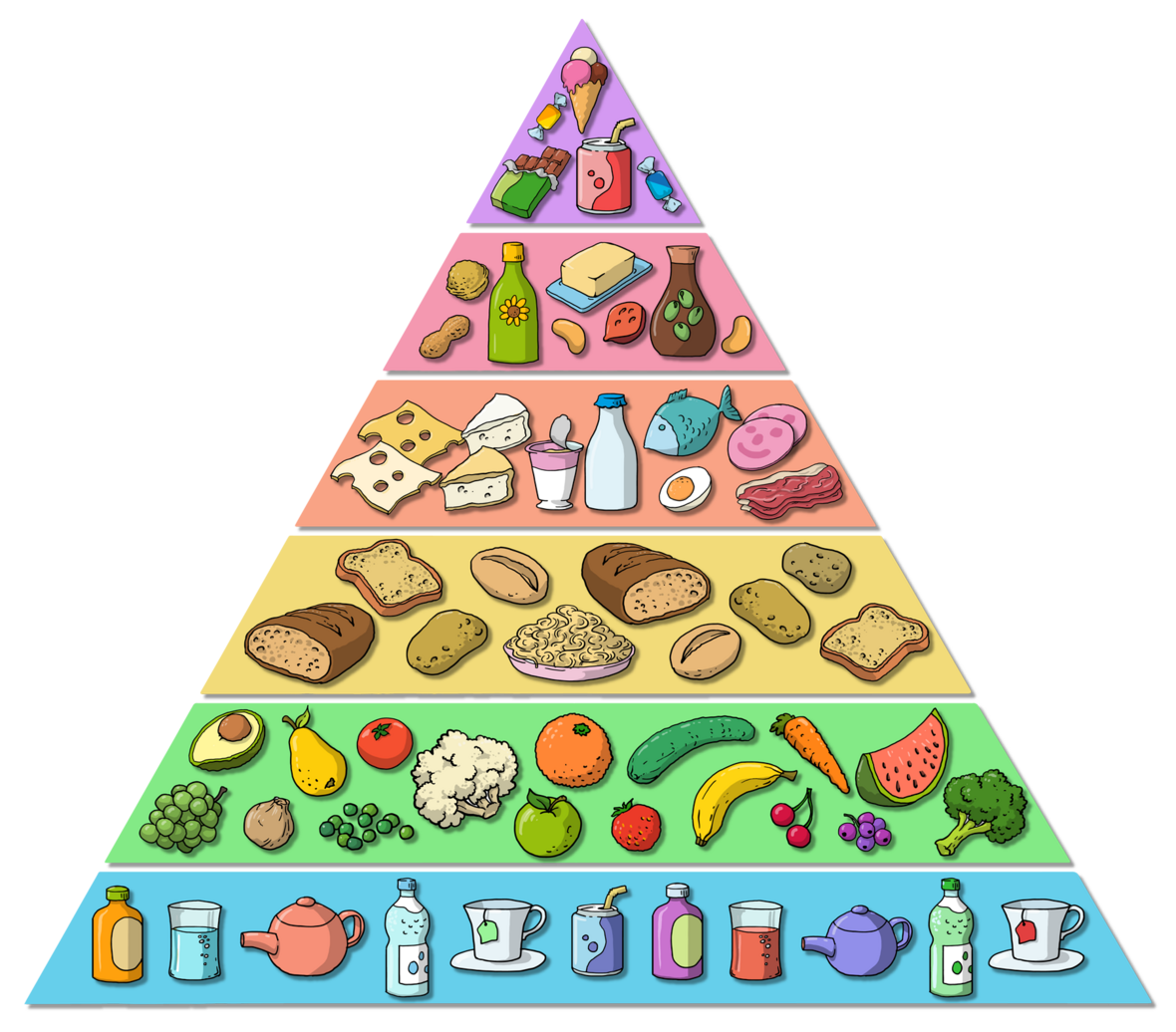 In der Ernährungspyramide sind Lebensmittel bestimmten Stufen zugeordnet: Je breiter die Lebensmittel in der Pyramide angezeigt werden, desto höher sollte ihr Anteil am täglichen Speiseplan sein.  (erstellt auf der Grundlage von Informationen des Bundeszentrums für Ernährung (BZfE))