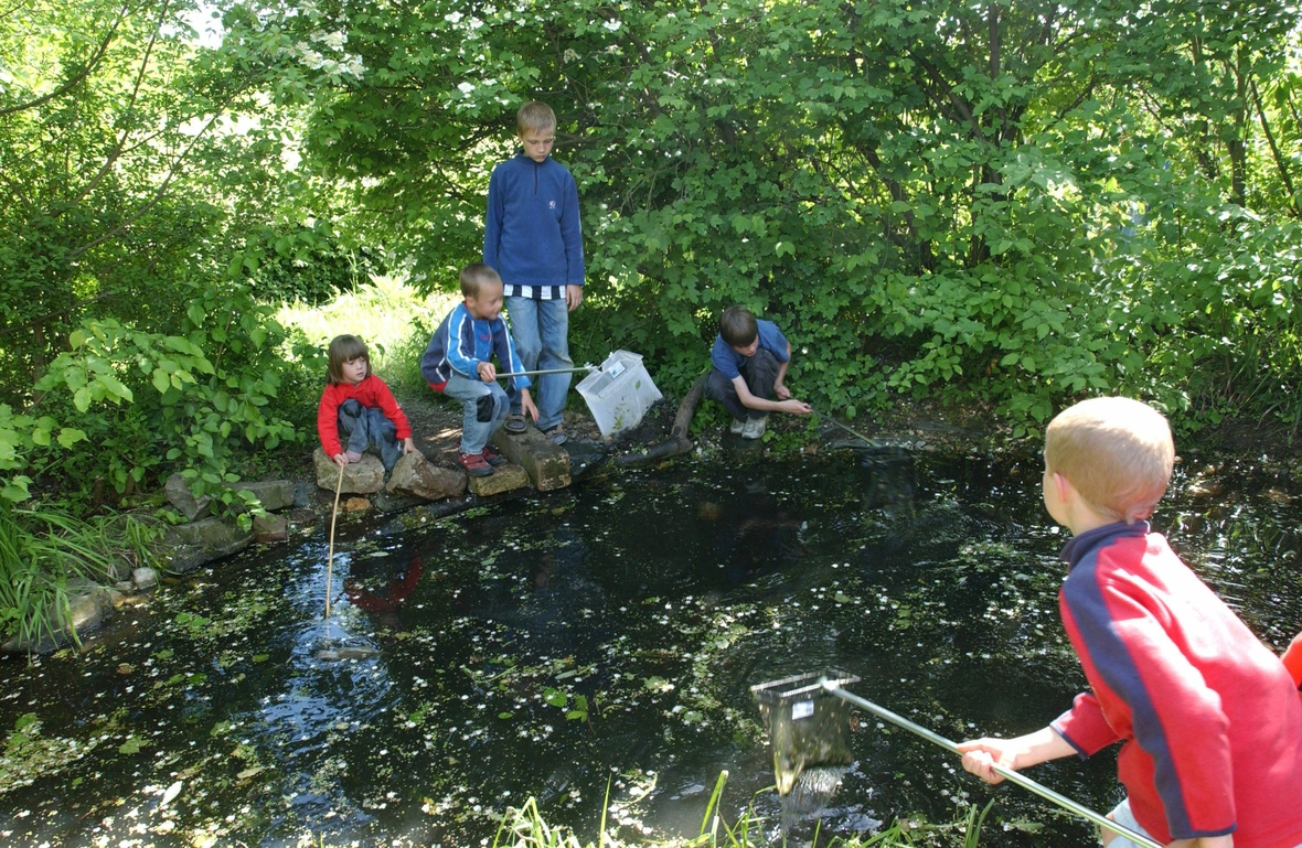 محطة عضوية في فرايبورغ، حيث يتعلم الأطفال كيفية التعامل مع الطبيعة بشكل جيد.