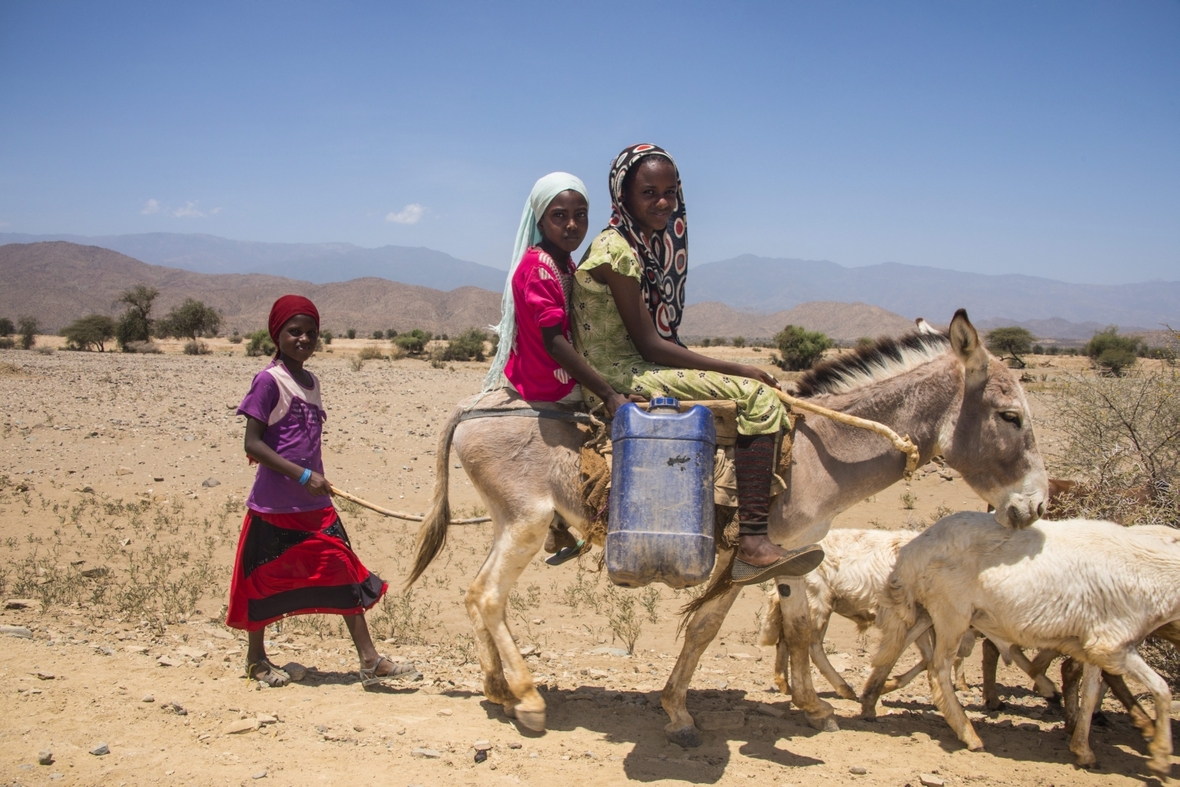 Kinder mit ihrem Esel in Eritrea auf dem Weg zu einer Wasserstelle.