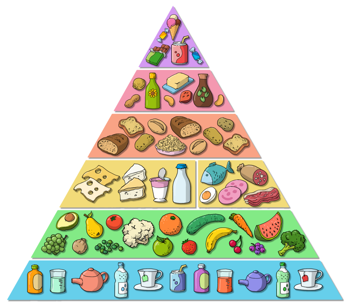 In der Ernährungspyramide sind Lebensmittel bestimmten Stufen zugeordnet: Je breiter die Lebensmittel in der Pyramide angezeigt werden, desto höher sollte ihr Anteil am täglichen Speiseplan sein. (Quelle: Bundeszentrum für Ernährung (BZfE))