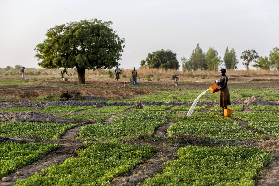 Eine Bäuerin bewässert ihre Felder in Togo.