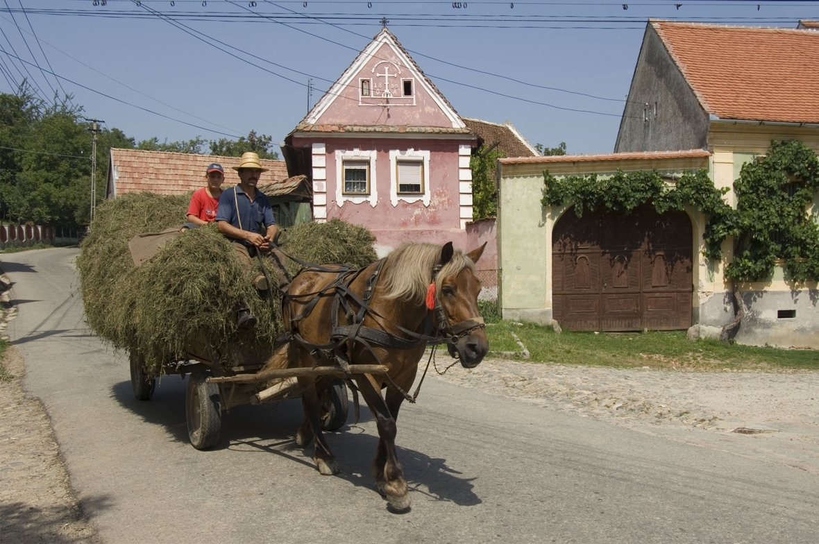 Rumänische Bauern mit Pferdekarre in Transsilvanien.