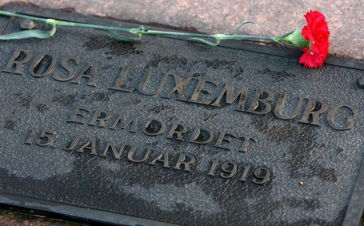 Eine rote Nelke liegt zum Gedenken auf dem Grab von Rosa Luxemburg in Berlin.
