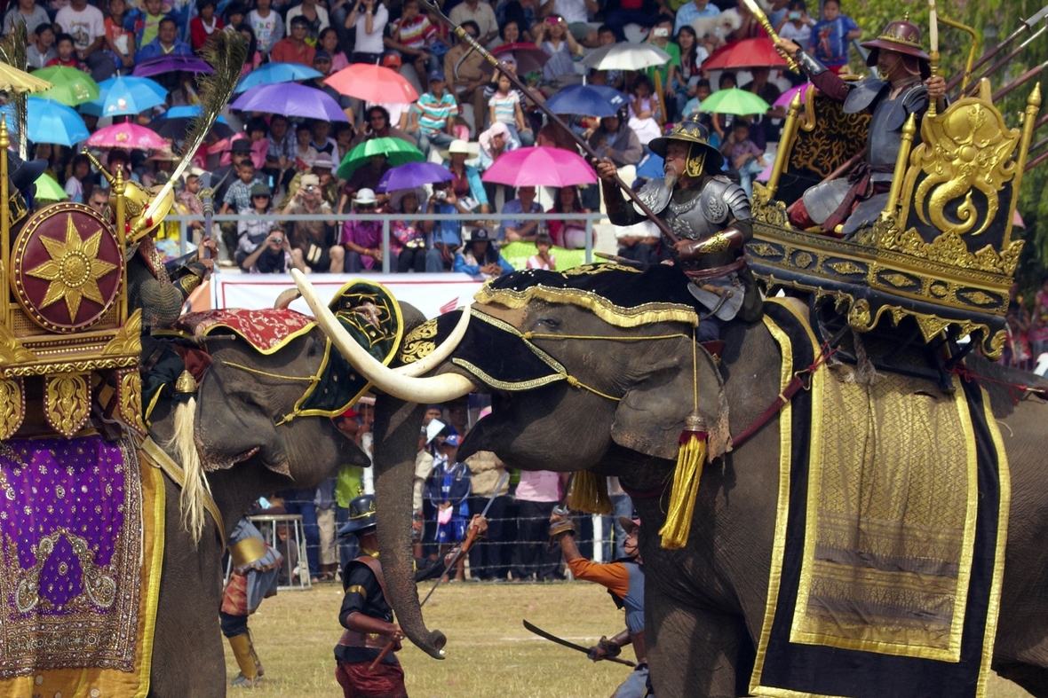 Das Elefantenfest in der thailändischen Stadt Surin schauen sich viele Urlauber an.