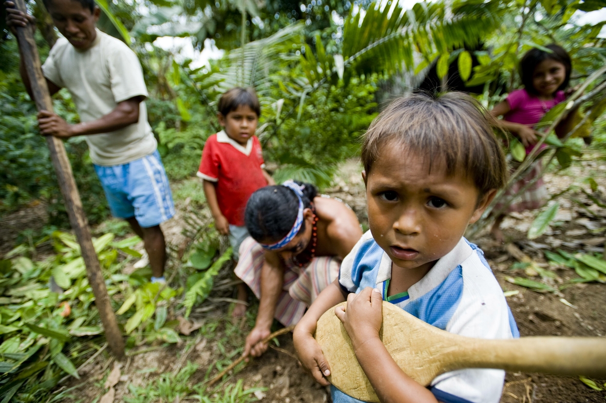 Eine ecuadorianische Familie bei der Arbeit auf einer Bananen-Plantage.