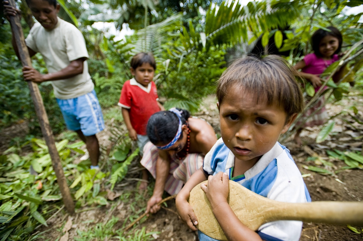 Eine ecuadorianische Familie bei der Arbeit auf einer Bananen-Plantage.
