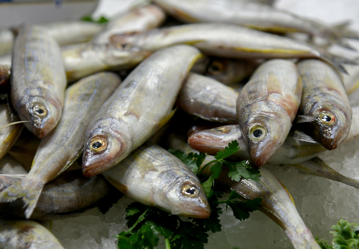 Fische, hier frisch gefangen auf Mallorca, Spanien, gehören zu den Grundnahrungsmitteln in Ländern, wo viel gefischt wird.