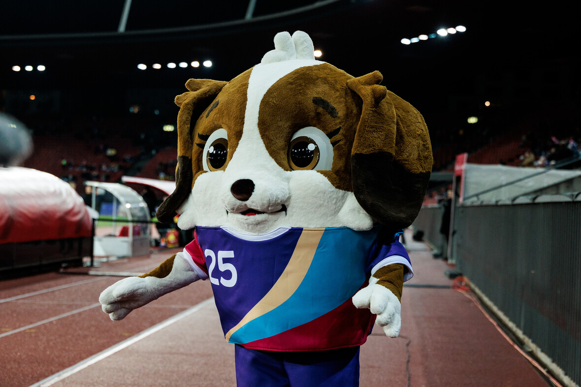 Das Maskottchen ist eine Art Comicfigur und heißt Maddli. Es ist ein Bernhardiner-Welpe. Bernhardiner sind mutige Suchhunde, die oft bei Rettungseinsätzen in den Alpen beteiligt sind. Der Name Maddli erinnert an die Fußballerin Madeleine Boll, die eine Vorkämpferin des Frauenfußballs in der Schweiz war.