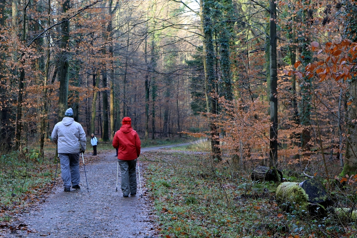 Wanderer beim Spaziergang durchs Siebengebirge