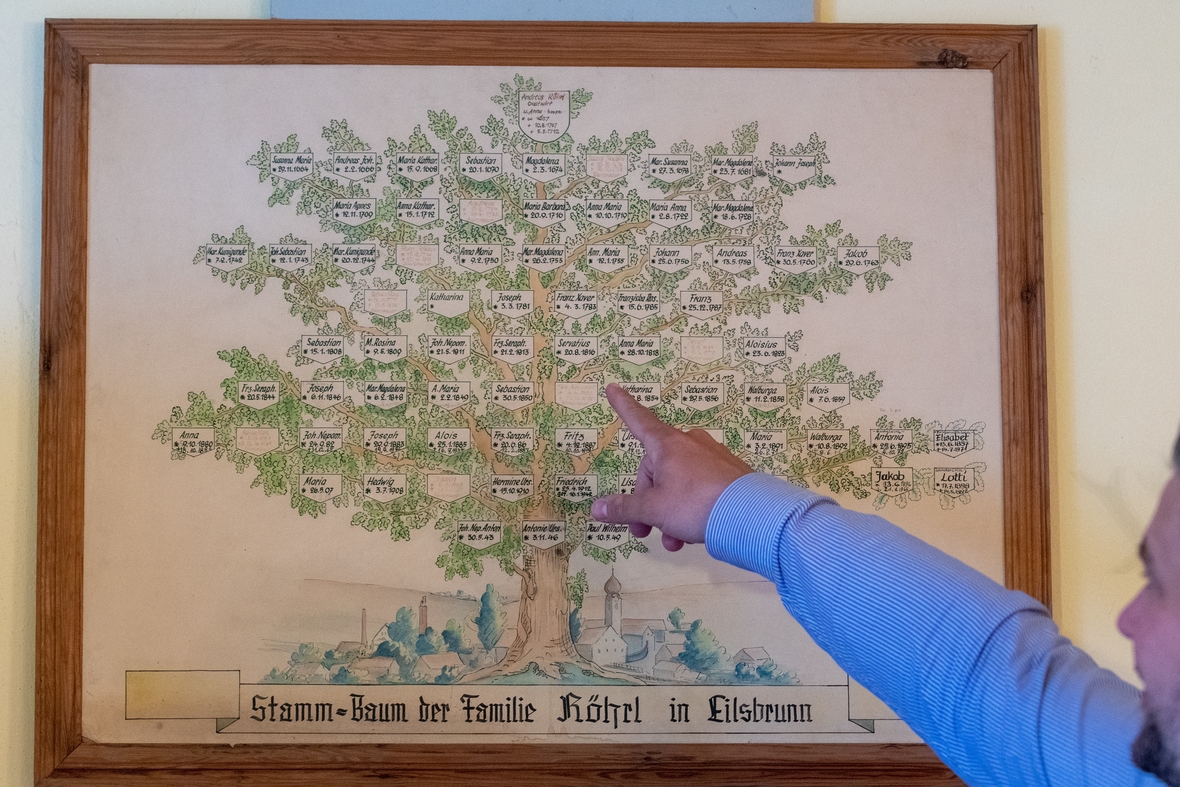 Stammbaum der Familie Röhrl in Form eines Baumes. Zu sehen sind Verwandschaftsverbindungen über Jahrhunderte hinweg.