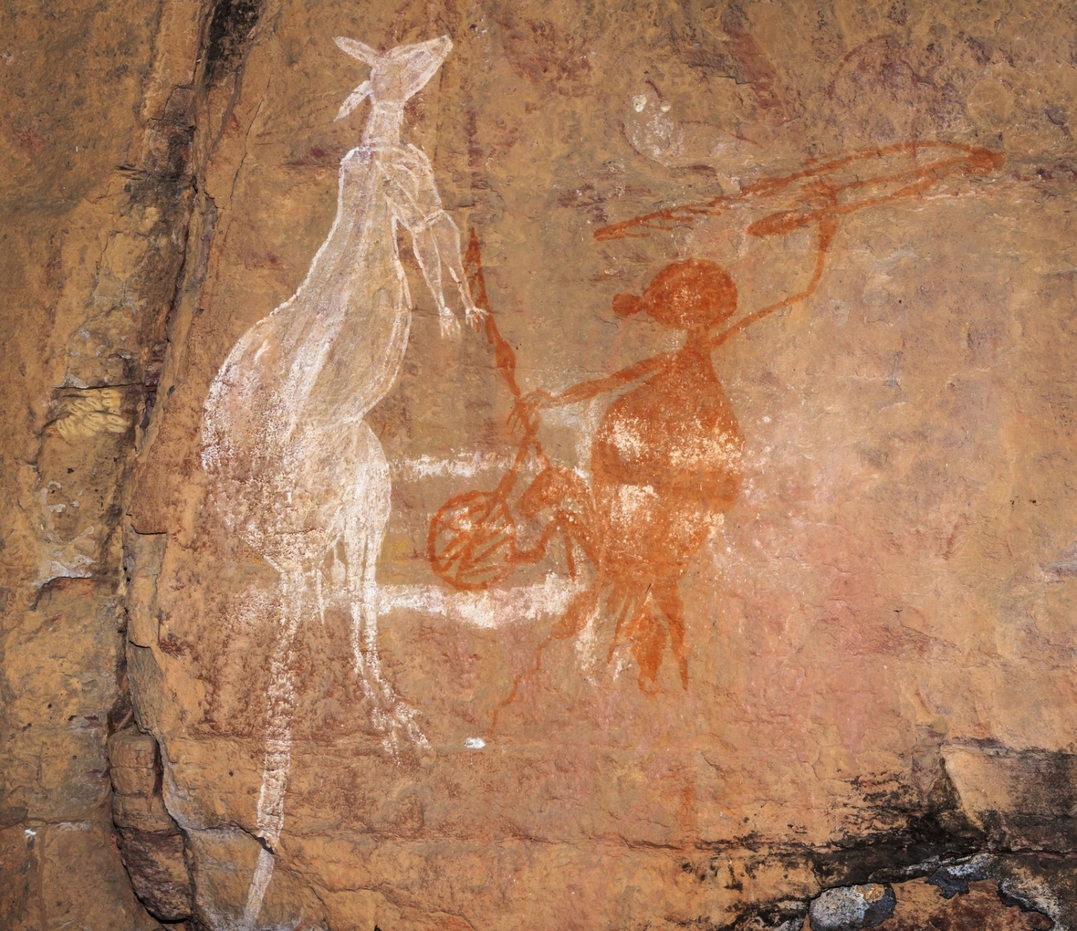 Die alten Felsmalereien der Aborigines im Kakadu-Nationalpark zeigen, wie Kängurus mit einem Speer gejagt wurden.
