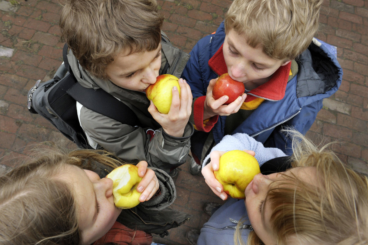 Diese Schulkinder essen Äpfel und nehmen damit wichtige Flüssigkeit zu sich. Denn ein Apfel besteht zu 85 Prozent aus Wasser.