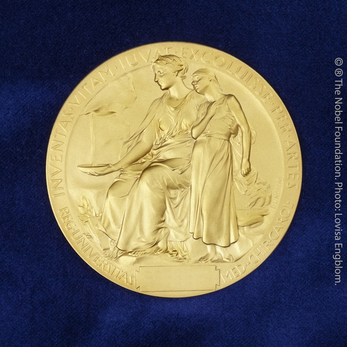 Die Rückseite der Medaille des Medizin-Nobelpreises
