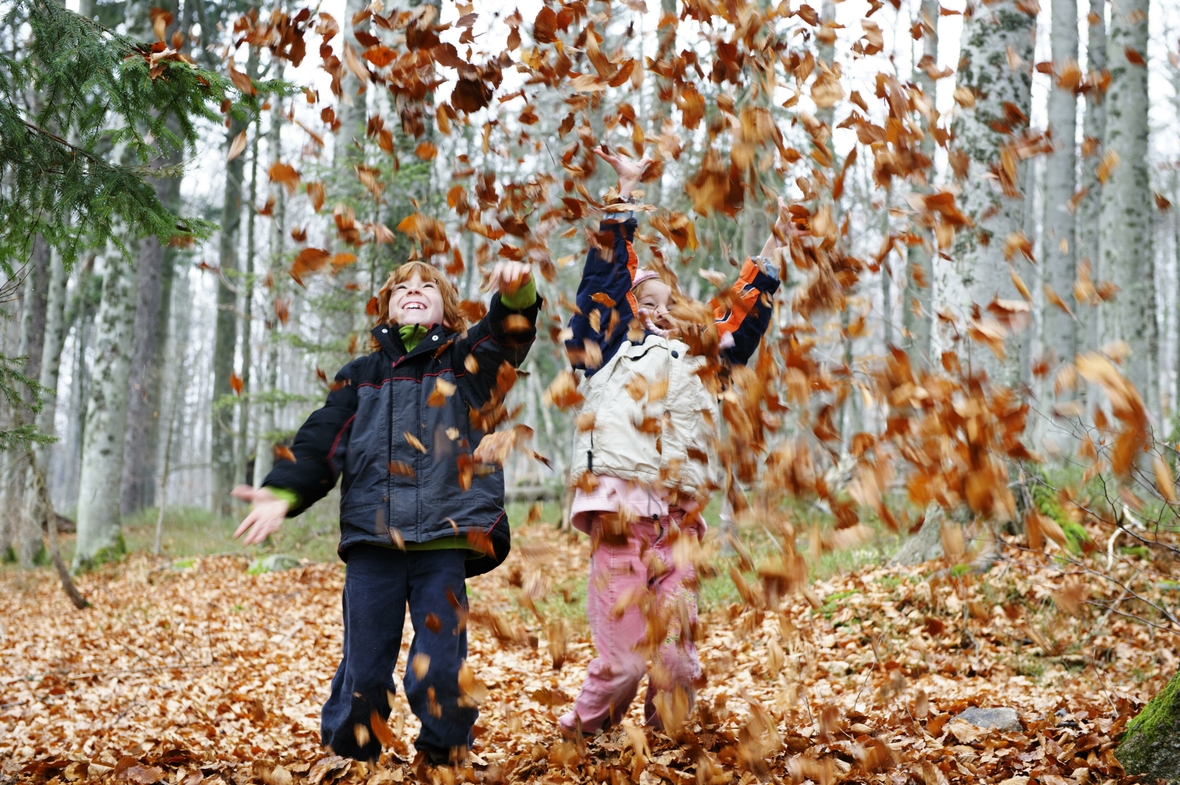 Zwei Kinder spielen vergnügt mit bunt gefärbtem Laub.