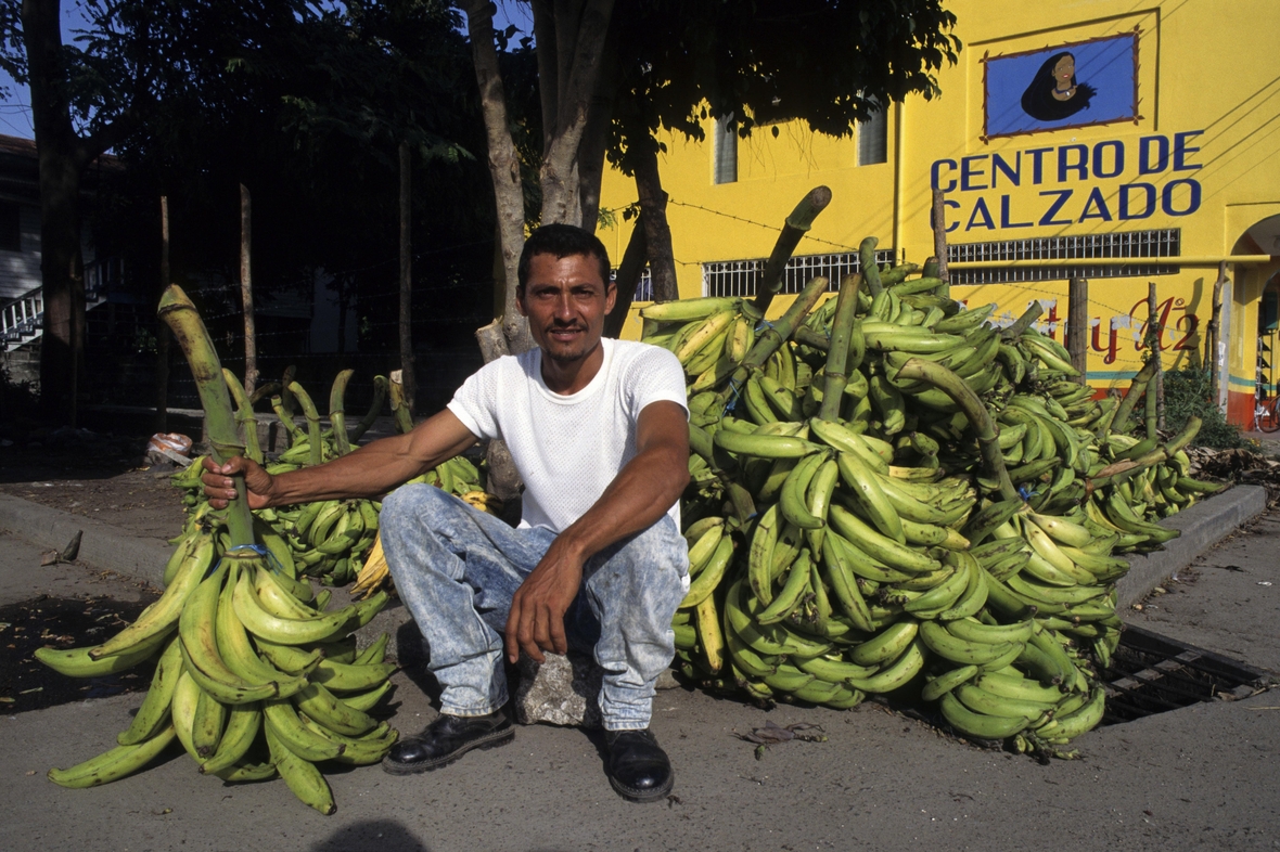 Ein Bananenverkäufer auf einem Markt in Honduras.