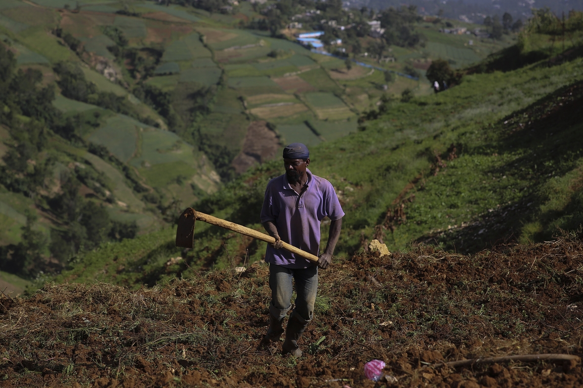 Arbeiter pflügt ein Feld in Haiti
