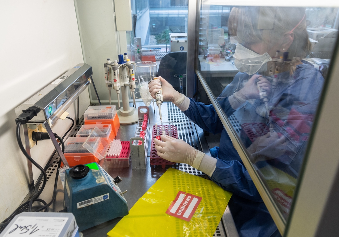 Im Uniklinikum Dresden werden Proben von Patienten auf den Coronavirus-Test vorbereitet.