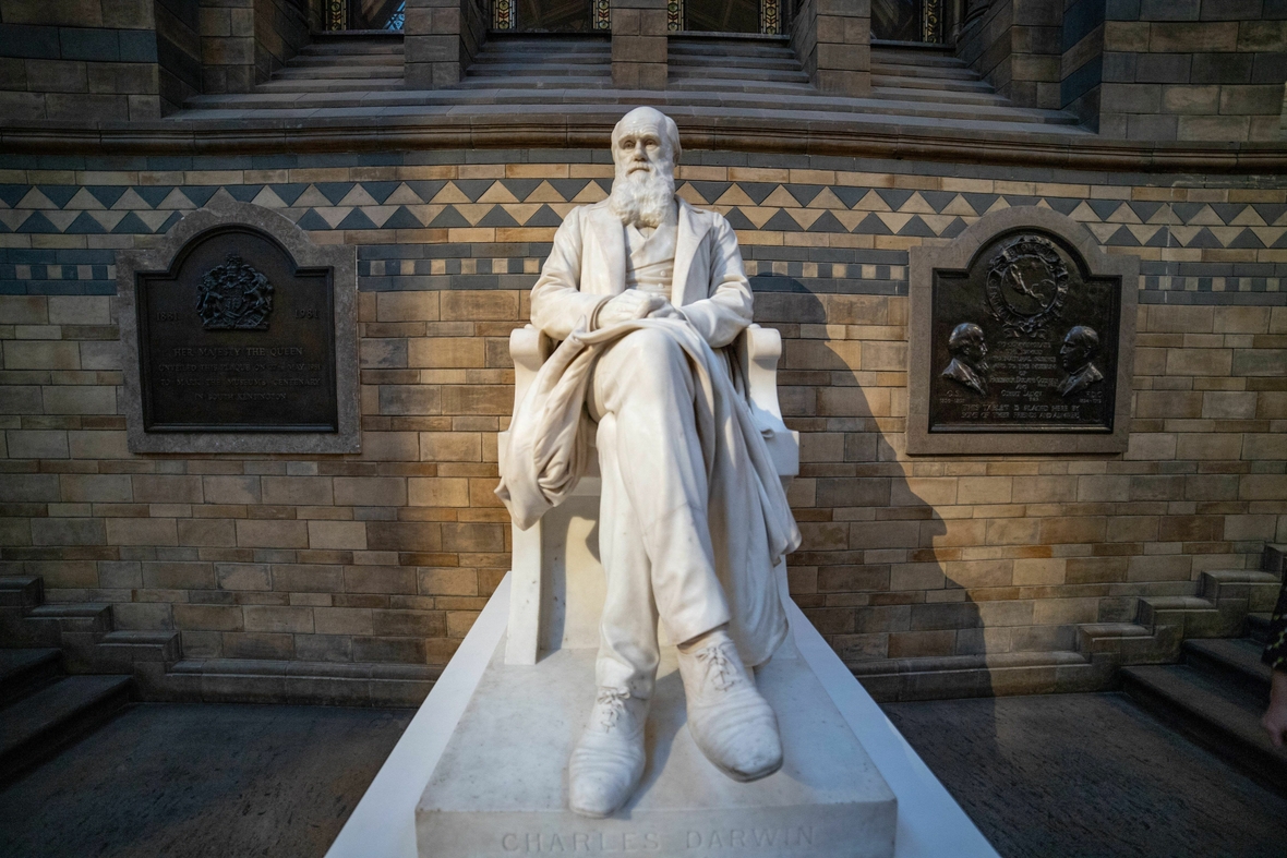 Statue von Charles Darwin vor dem Naturkunde-Museum in London, Großbritannien