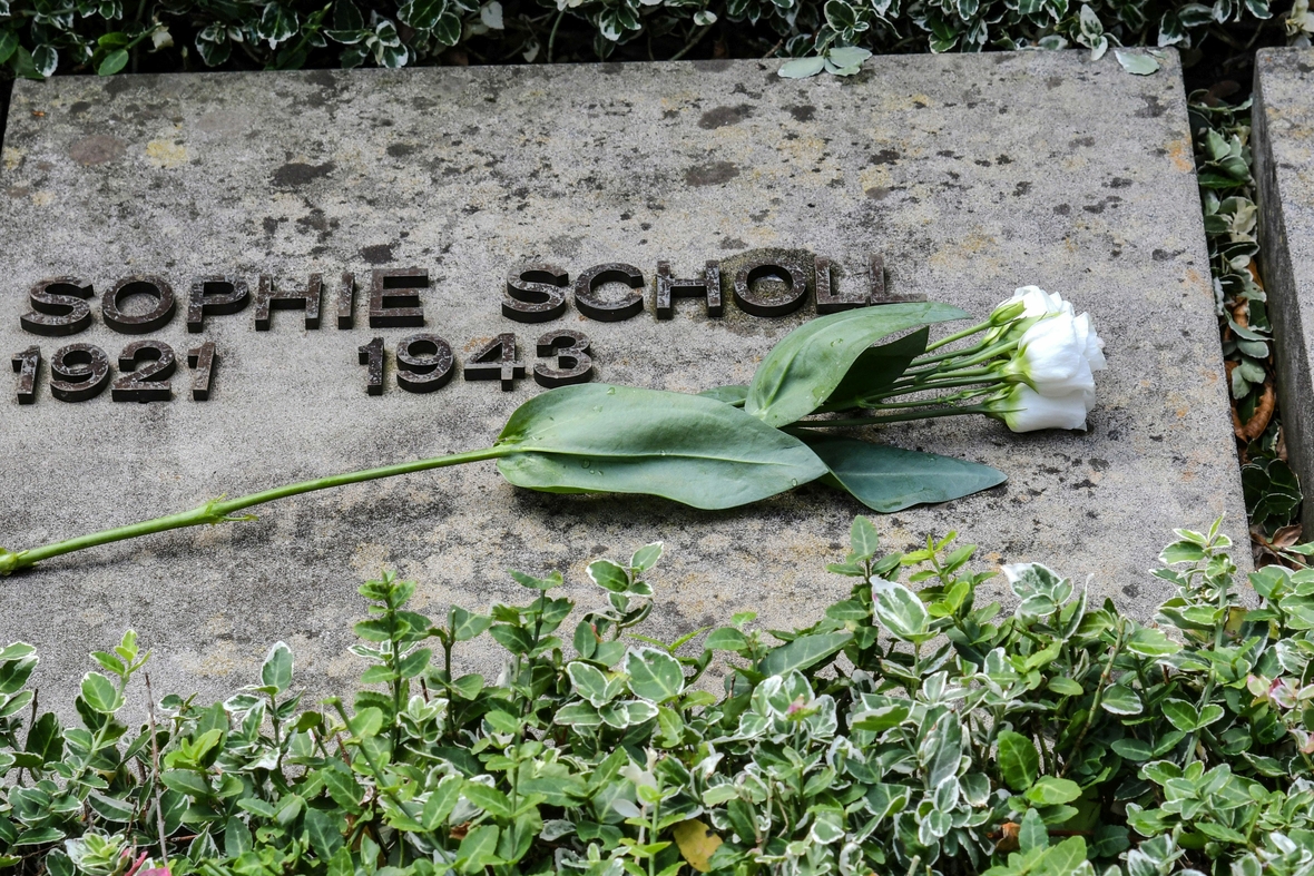 Der Grabstein von Sophie Scholl ist mit einer weißen Rose geschmückt. 