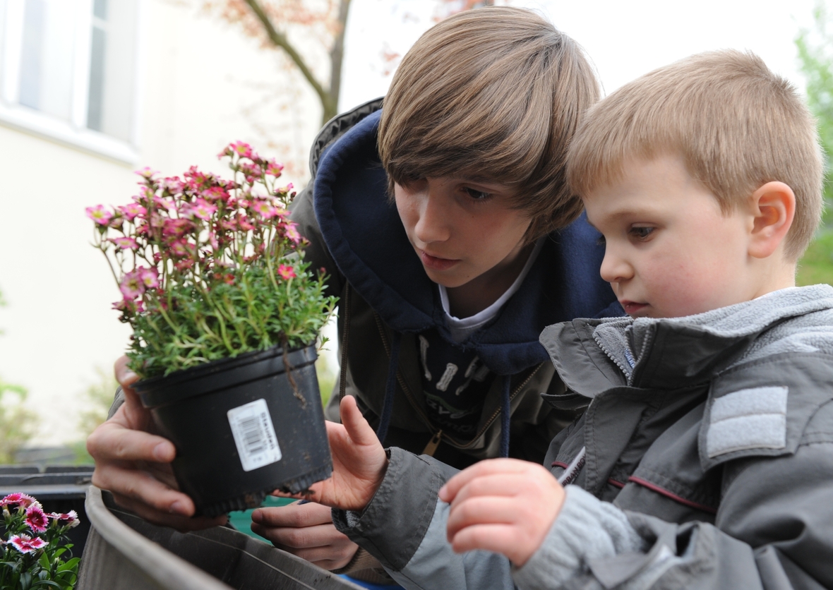 Der 14-jährige Elias Jordan (links) pflanzt 14.04.2011 in einem Kindergarten in Düsseldorf mit Kindern Blumen. Beim "Boys' Day" schnuppern Jungen in typische Frauenberufe hinein.