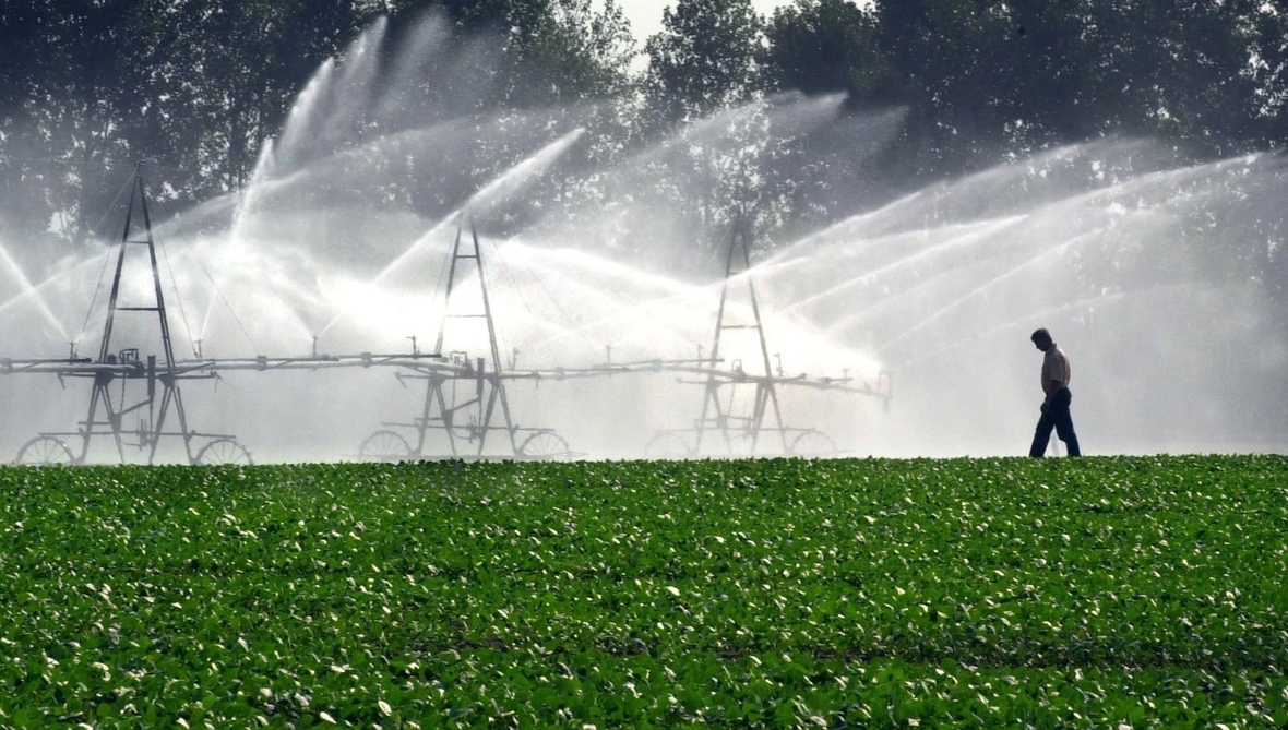 Der Temperaturanstieg macht es schwieriger, wie gewohnt Landwirtschaft zu betreiben. Auch in Deutschland kämpft man immer wieder gegen die Trockenheit. Mit künstlicher Bewässerung versucht hier ein Landwirt seine Ernte zu retten.