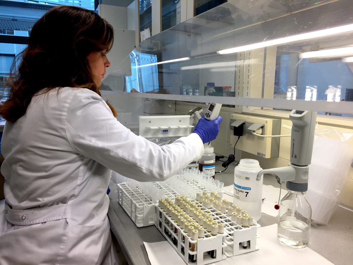 Eine Mitarbeiterin einer Genforschungsfirma in Island bereitet Blutproben zur genetischen Untersuchung vor.