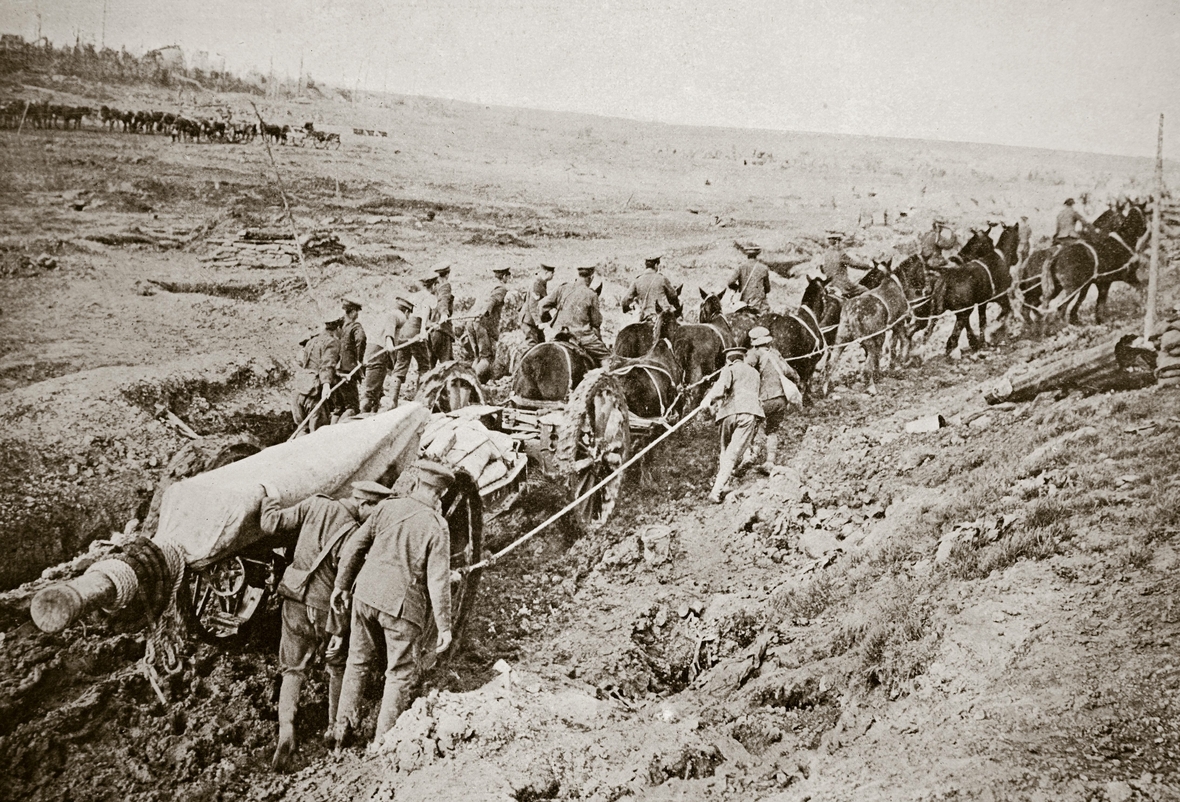 Frankreich 1916: 12 Pferde und viele Soldaten ziehen eine Kanone während des Ersten Weltkriegs.