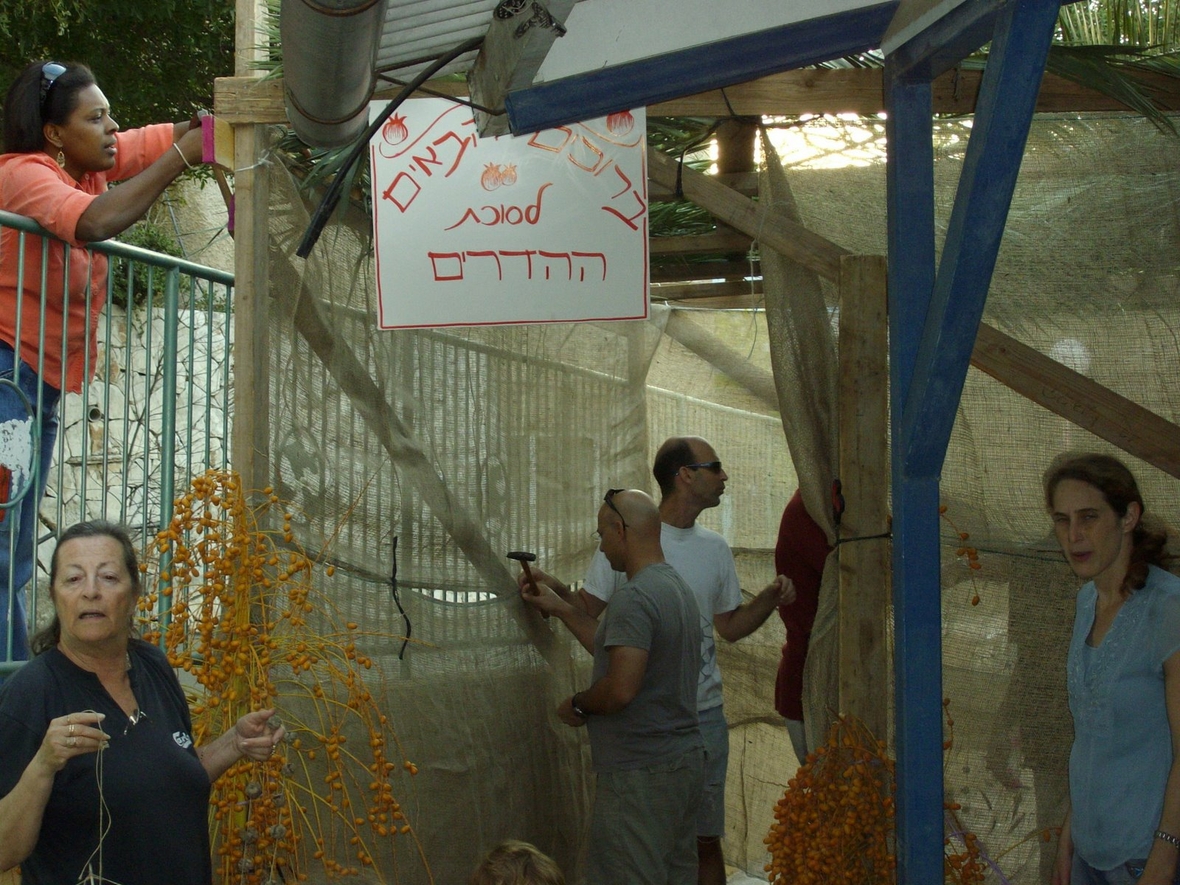 Menschen errichten zum Sukkotfest eine Laubhütte. Sie erreichten Holzleisten, an denen Planen befestigt sind.