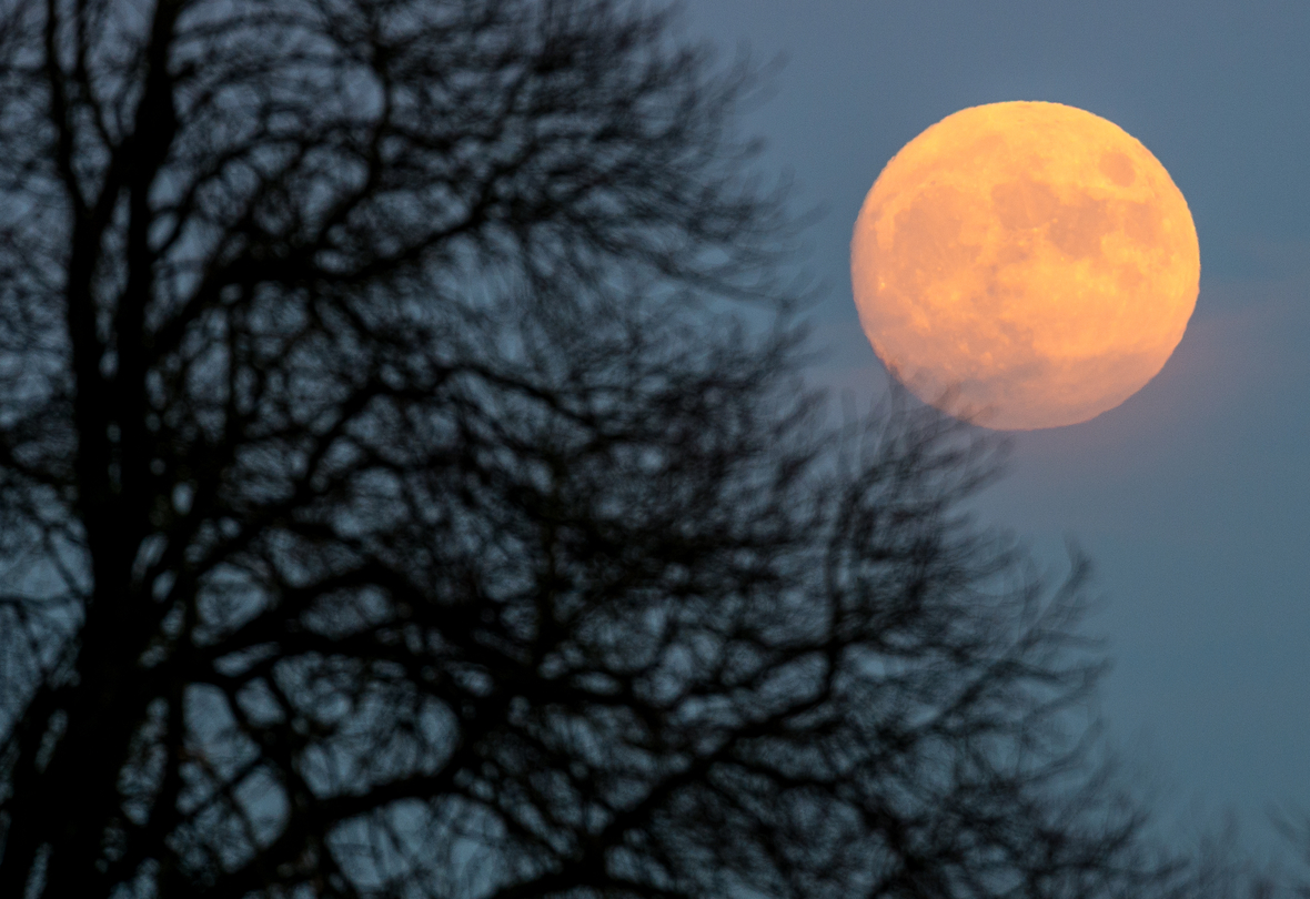 Der Islam richtet sich nach dem Mondkalender. Hier ist nahezu Vollmond. Der Mond erscheint neben Baumgeäst.
