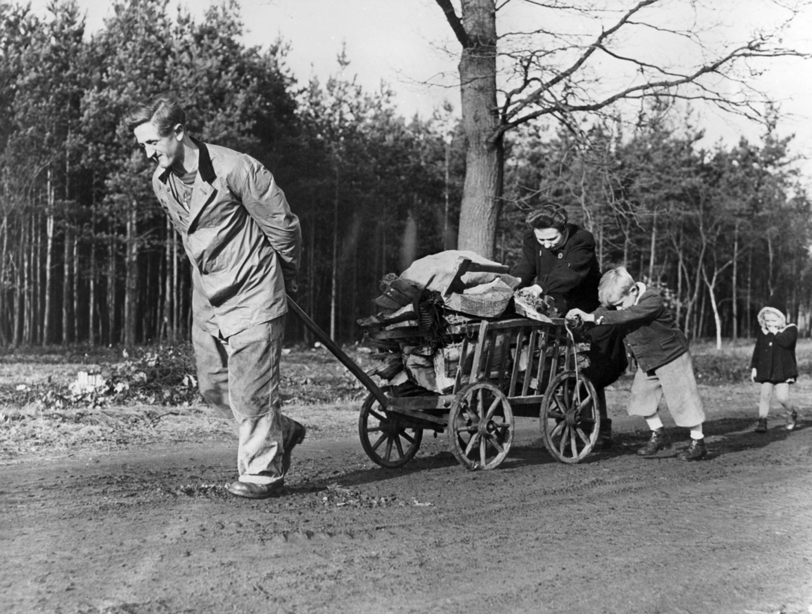 Das größte Problem für die Bevölkerung stellte während der Blockade das knappe Brennmaterial, das zum Heizen und Kochen benötigt wurde, dar. Hier bringt eine Berliner Familie mit einem Handkarren das im Wald gesammelte Holz nach Hause. 