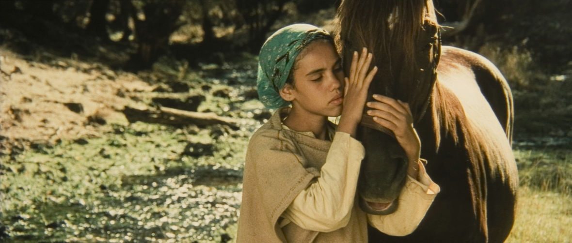 Szenenbild: Das Mädchen Zaina steht links neben ihrem Pferd Zingal. Sie streicht über seinen Kopf.
