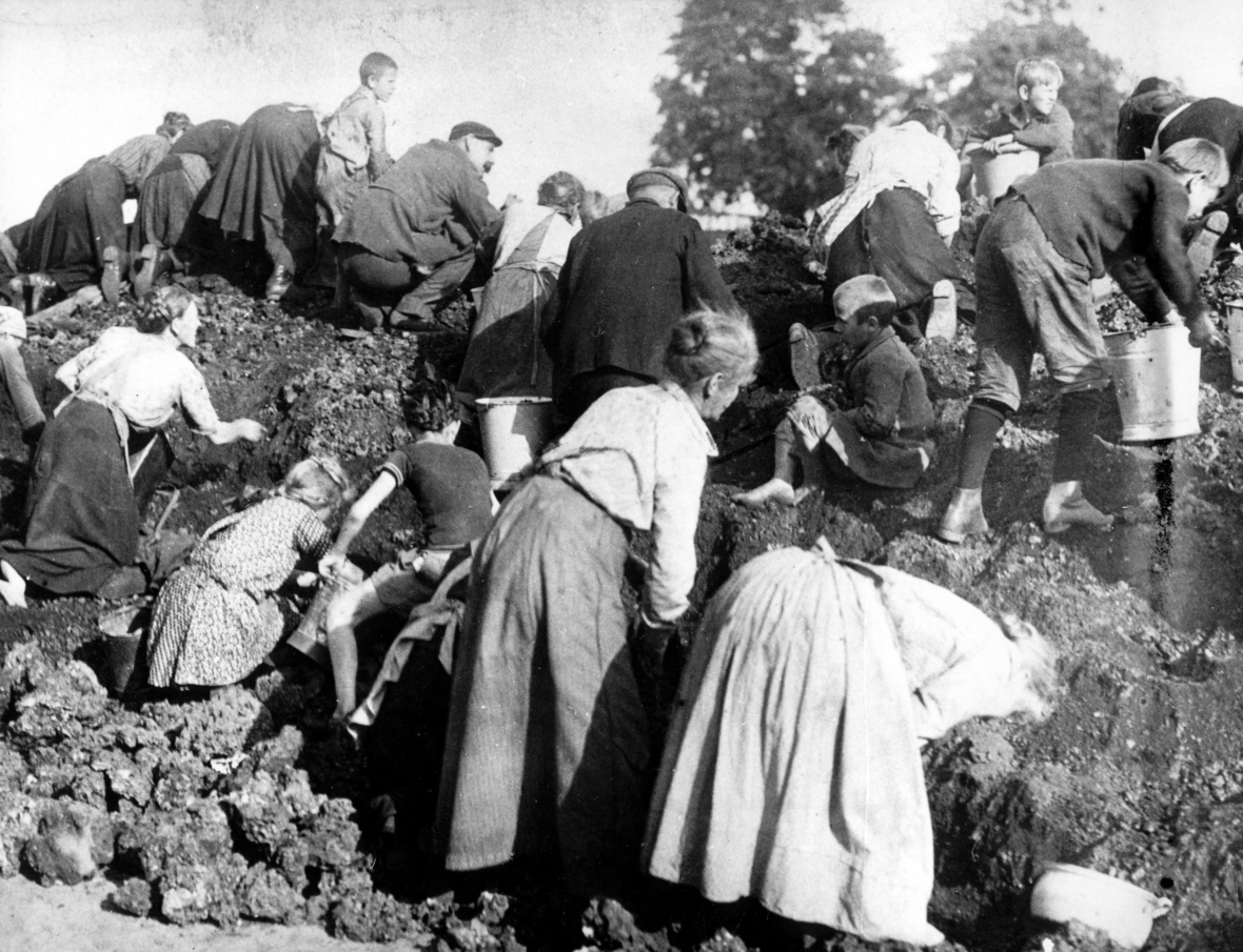 1923 zur Zeit der Weimarer Republik: Männer, Frauen und Kinder suchen nach Heizmaterial.