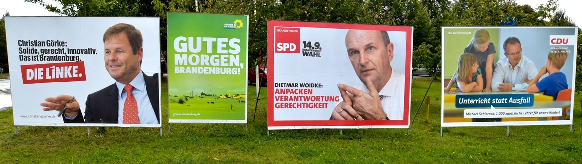 Wahlplakate während des Landtagswahlkampfes in Brandenburg.