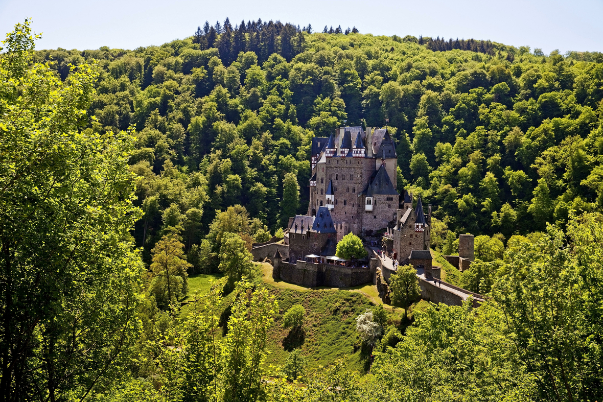 Die malerische Burg Eltz in Rheinland-Pfalz inmitten eines saftig grünen Waldes. 