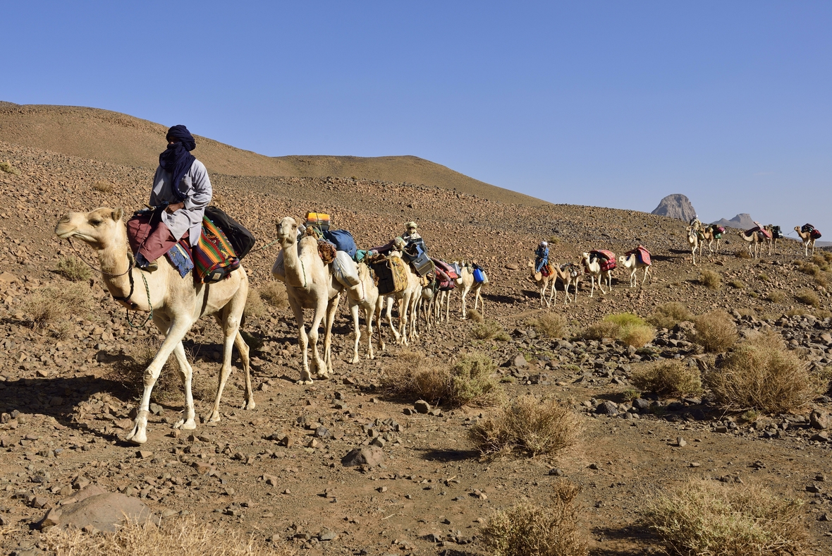 Tuareg-Männer sind mit einer Kamelkarawane in der Sahara-Wüste in Algerien unterwegs. 