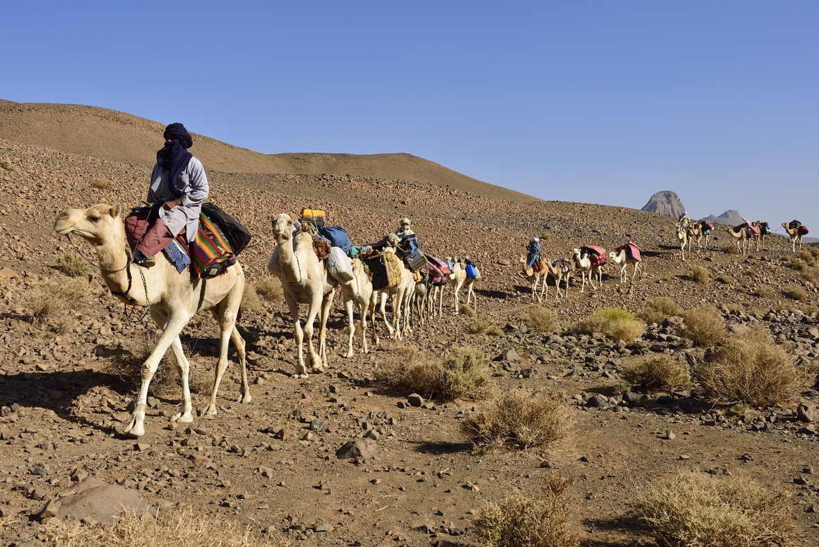 Tuareg-Männer sind mit einer Kamelkarawane in der Sahara-Wüste in Algerien unterwegs.