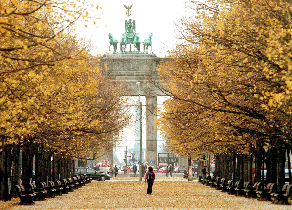 Herbstliche Linden