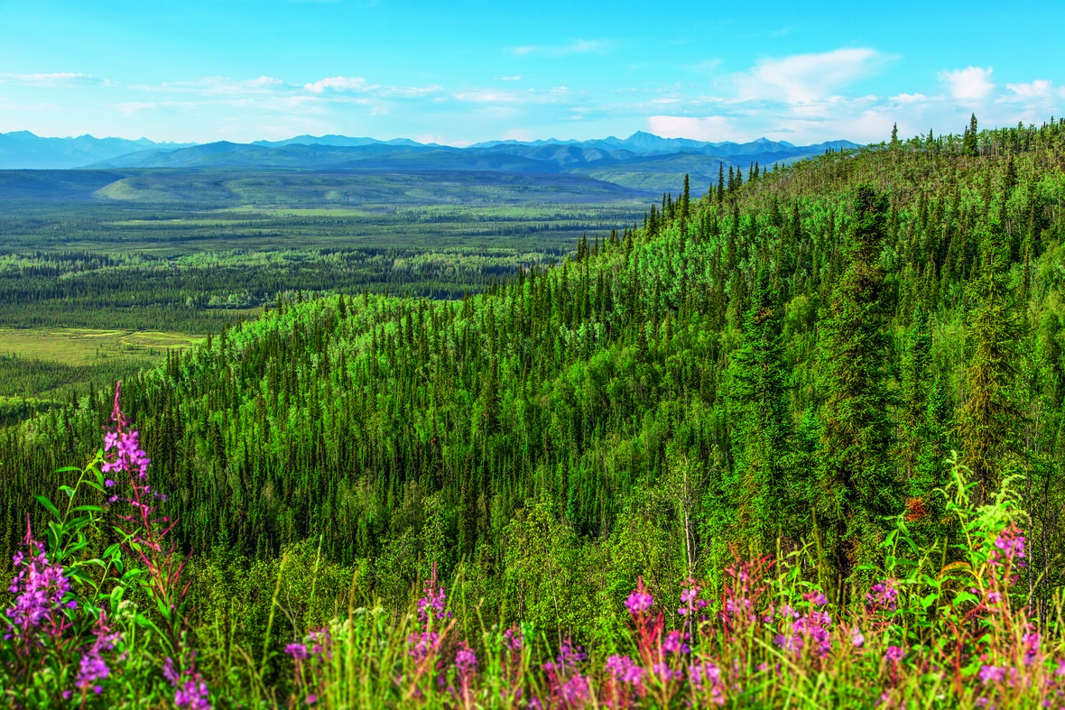 Zu sehen ist ein Ausblick auf den Senkungsgraben "Tintina Trench" im Territorium Yukon in Kanadas Nordwesten.