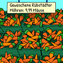 Info-Layer-Bild 171/2