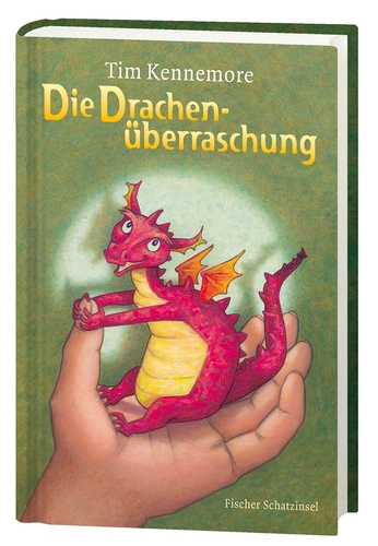 Cover: Die Drachenüberraschung