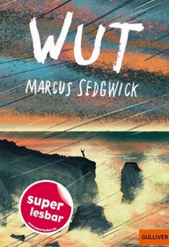 Das Cover zeigt eine Person auf einer Klippe über dem stürmenden Meer.