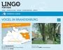 Screenshot https://www.lingonetz.de/kids/h%C3%B6ren-lesen/V%C3%B6gel-Brandenburg